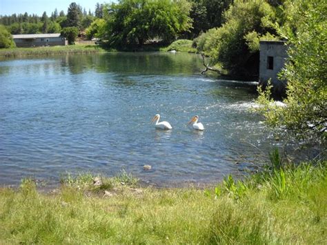 Top 30 Things to Do in Redding, CA on TripAdvisor: Redding Attractions – Find What to Do Today ...