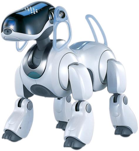 I want my robot pet — J-F. Dubeau