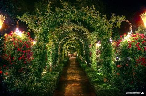 Victorian Mansion Garden at Night | Butchart Gardens at night. Victoria, BC. Garden Archway ...