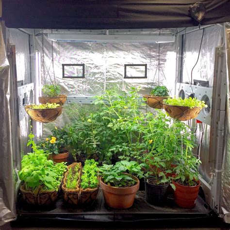 Grow Your Own Food Indoors - The Nature Life Project