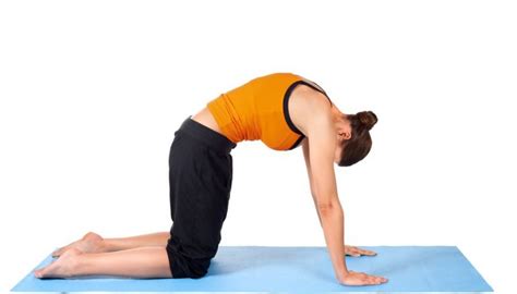 The Synchronization of Breath & Movement: Cat/Cow - YogaDigest.com