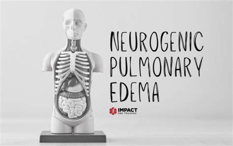 Neurogenic Pulmonary Edema | Impact EMS