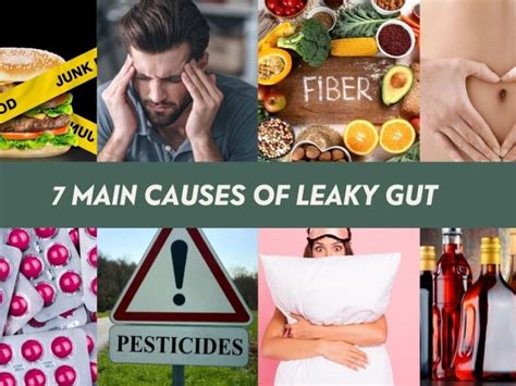 7 Main Causes Of Leaky Gut – Synergised