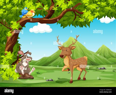 Cartoon illustration rabbit talking hi-res stock photography and images - Alamy