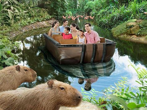 Mandai Wildlife Reserve: River Wonders, Tickets & Vouchers, Local Attractions & Transport on ...