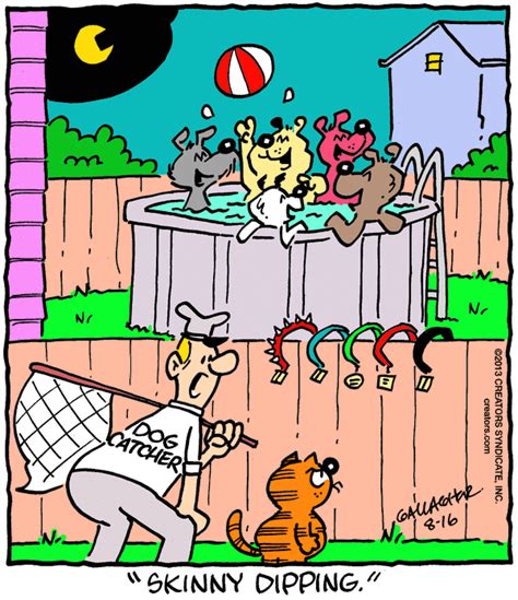 Heathcliff | Comics | ArcaMax Publishing | Heathcliff, Fun comics, Comics