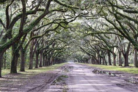 THE MOST PHOTO WORTHY SPOTS IN SAVANNAH