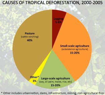 pie chart showing causes of tropical deforestation / drivers of rain forest destruction ...