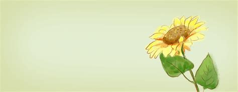 Yellow Minimalist Sunflower Dress Banner Background, Yellow Sunflower, Yellow Background ...