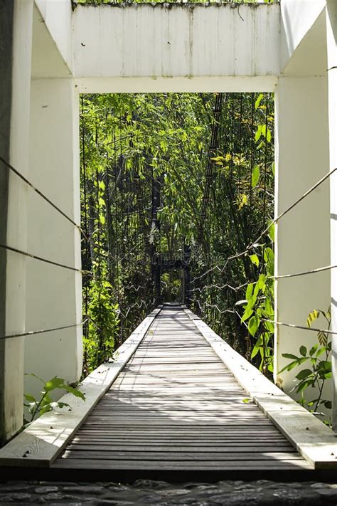 The Wooden Bridge Across the Waterfall on a Sloping Wire Rope Stock ...