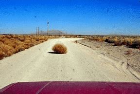 tumbleweed animated GIF