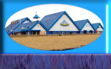 Sealife Adventure in Southend-on-Sea, Essex, United Kingdom | Aquarium | Full Details