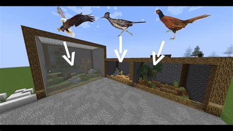 Planet Zoo in Minecraft S2 ep18 | Outdoor Aviary pt1 - pheasant, roadrunner & bald eagle ...