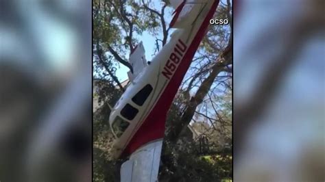 Deputies investigating after small plane crashes into tree in Florida ...