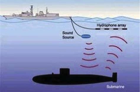 Sonar Network Diagram