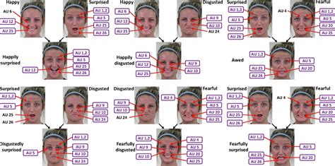 Facial Expressions Chart Psychology