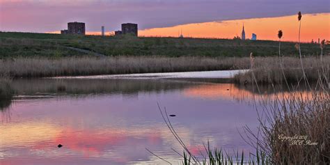 It Pays to Be an Early Riser | The Meadowlands Nature Blog