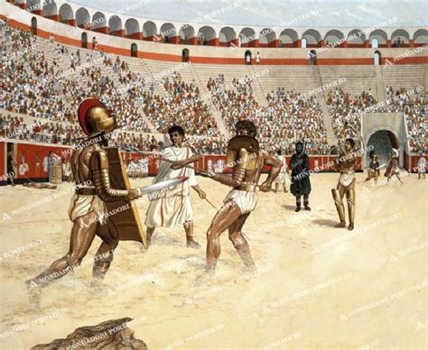 Gladiator fight in the amphitheatre of Pompeii between a 'Secutor' and ...