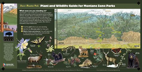 Denver Mountain Parks - Plant and Wildlife Guide for Montane Zone - inkart