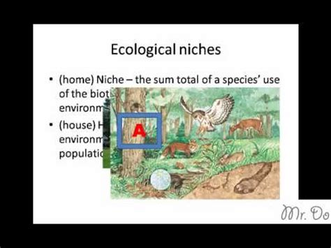 community ecological niche habitat fundamental realized - YouTube