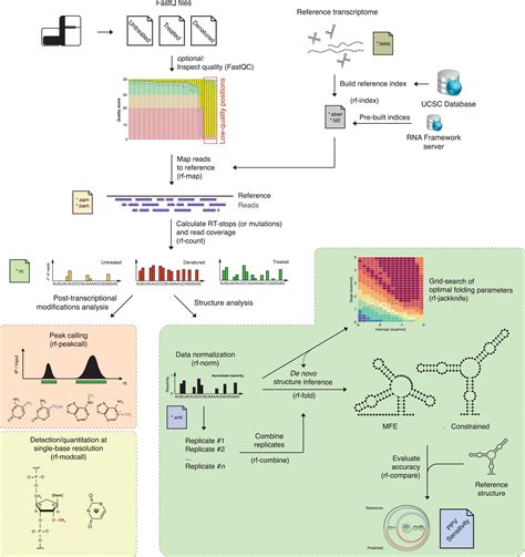 Rna Seq