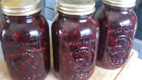 Saskatoon Berry Pie Filling Recipe - Allrecipes.com