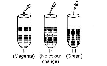 China rose is which type of indicator?