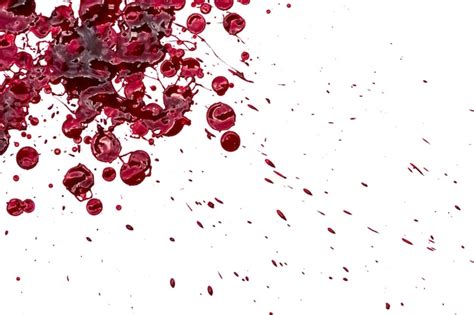 Free Photo | Halloween concept : Blood splatter on white background