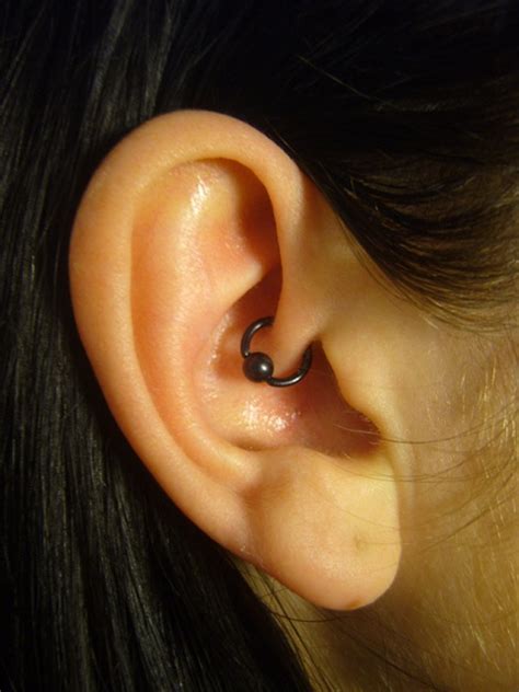 piercing daith | Ear piercings, Daith piercing, Crystal stud earrings