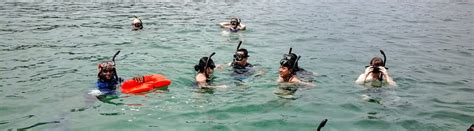 Gandoca Manzanillo Wildlife Refuge Snorkeling Puerto Viejo Costa Rica