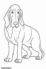 Basset Hound Friendly coloring Page sketch template