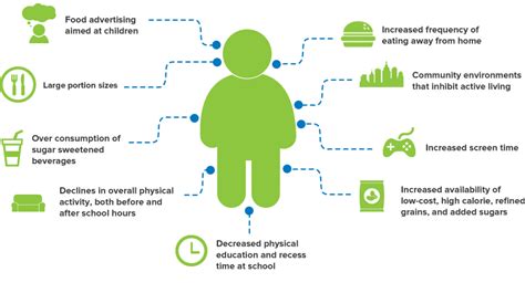 What Causes Obesity? - The Main Factors - Childhood Obesity: What is the real cause? – OnlineEdu ...