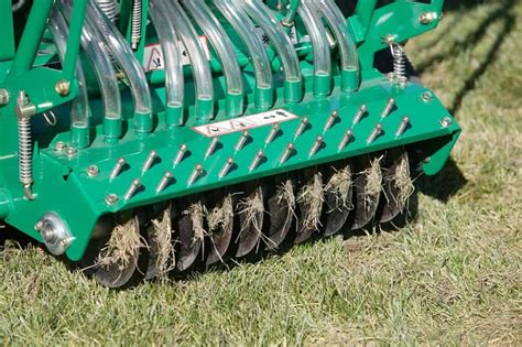 How Much Grass Seed For Overseeding? 3 Significant Tips