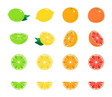 16 Citrus Fruits, Fruit Clipart, Citrus Clipart, Lemon Clipart, Lime Clip Art, Orange ...