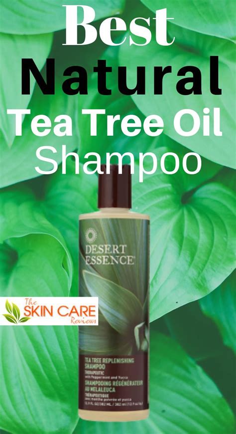 Best Tea Tree Oil Shampoo Reviews | Tea tree oil shampoo, Best tea tree ...