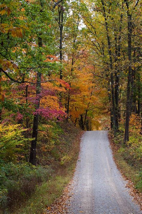 🇺🇸 Country road in the fall (Southern Indiana) by Melissa Wyatt 🍂cr ...