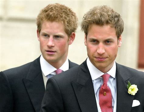 Body Language Expert Analyzes Prince Harry and Prince William’s Demeanor When Prince Charles ...