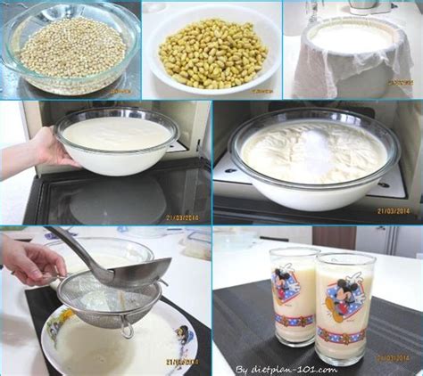 Homemade Sugar-Free Soybean Milk Recipe - Diet Plan 101