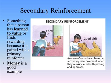 Operant Conditioning What the heck is it? - ppt download