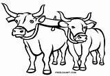 Yoke Oxen Pages Coloring sketch template