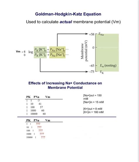 [Solved] For each value of K+ conductance, use the Goldman-Hodgkin-Katz ...