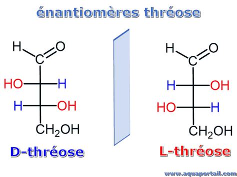 Thréose : définition illustrée avec explications