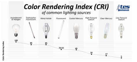 Color Rendering Index Across a Spectrum of Options | TES Engineering