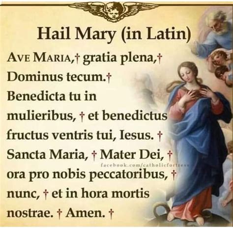 Hail mary in latin - francepaas