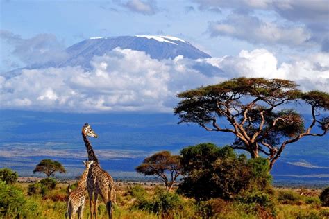 10 Amazing and Popular Tourist Attractions in Africa