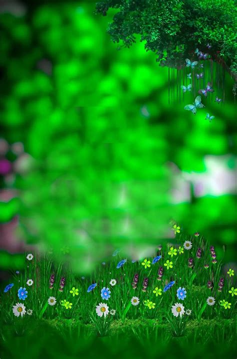 🔥 Green Nature Blur Snapseed Background HD Download | CBEditz