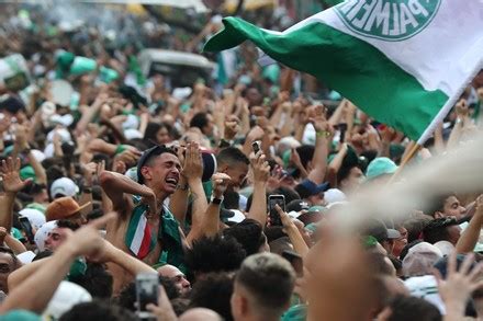 Palmeiras Fans Celebrate Partial 10 While Editorial Stock Photo - Stock ...