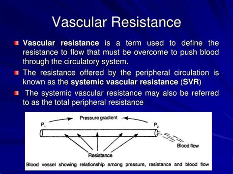 PPT - Dynamics of Blood Flow 26.3.12 PowerPoint Presentation, free download - ID:6057070