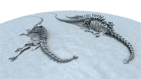 Diplodocus skeleton model - TurboSquid 1299043