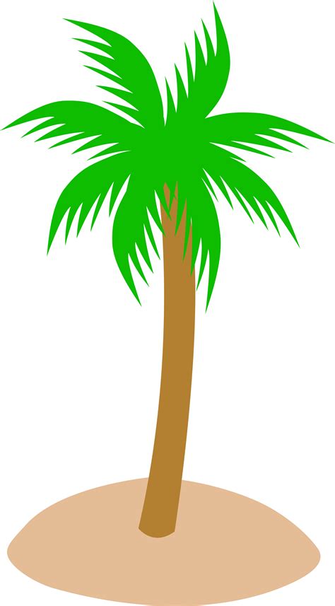 Cartoon Palm Tree Wallpaper - Palm Transparent Tree Library Clipart ...